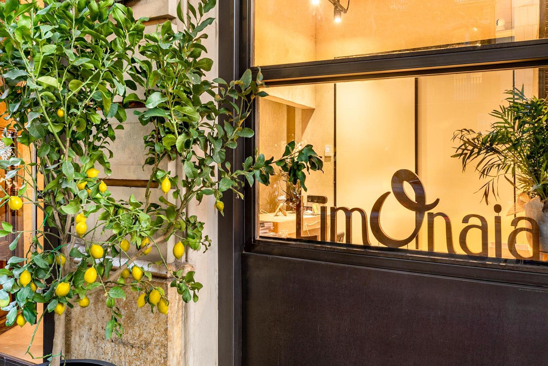 Limonaia Otel Barselona Dış mekan fotoğraf